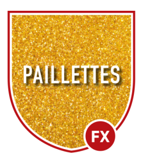 Transfert sérigraphie pour personnalisation en paillettes