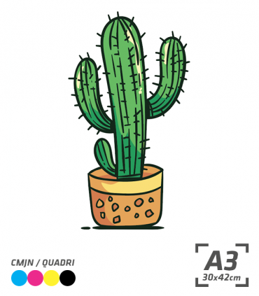 Multi PRO SC (sans contour)