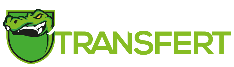 Monster Transfert Fabricant De Transfert Serigraphique De Qualite